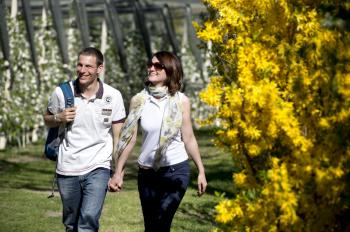 Blütenfesttage in Lana und Umgebung